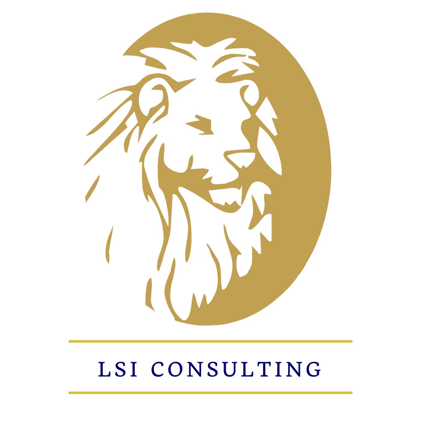 LSI Consulting is St. Louis’s top #sales and #marketing firm obsessed with creating a winning culture, innovation, and action!💥🏆