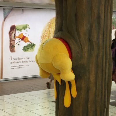 kenn1909's profile picture. 川越高校/東工大 修士2年