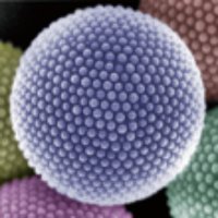 藪研究室/Yabu Laboratory (@yabulaboratory) 's Twitter Profile