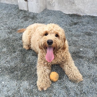 tmillard23's profile picture. Cubs, Hawks, Bulls. NU Cats. Everyone should have access to comprehensive, affordable health insurance.