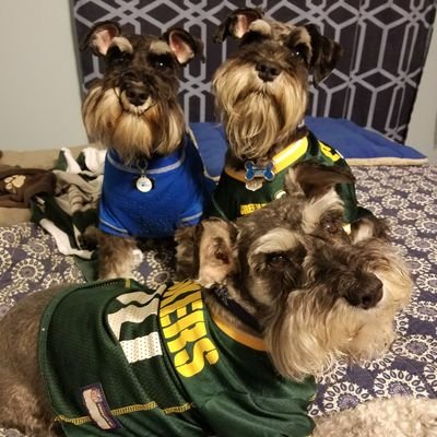 Love my family, friends, and my dogs.  Big time Kentucky Wildcat, Green Bay Packer, and Dale Jr fan!!