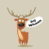 anant (@anant_d) 's Twitter Profile