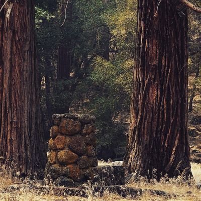 td_projects's profile picture. •Photography📷