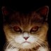 Читатель (@regular_reader) Twitter profile photo Читатель (@regular_reader) Twitter profile photo