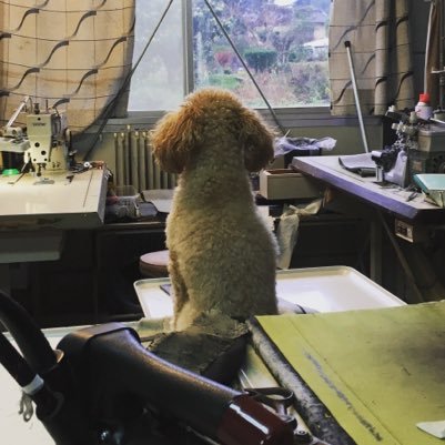 i8CM5iiplbucF6w's profile picture. 最近はもっぱら家呑みです！他愛もないことつぶやきます！