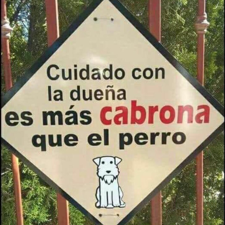 martinggallardo's profile picture. 