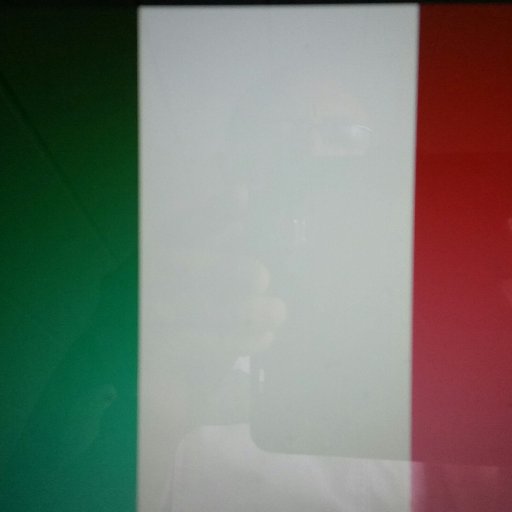 difendiitalia Profile Picture