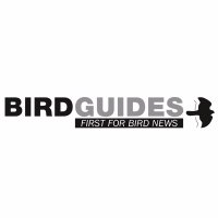 BirdGuides(@BirdGuides) 's Twitter Profileg