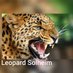 Leaopard Solheim Rahel (@salimhamoud) Twitter profile photo Leaopard Solheim Rahel (@salimhamoud) Twitter profile photo