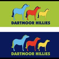 Dartmoor Hillies(@DartmoorHillies) 's Twitter Profile Photo