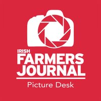 IFJ Picture Desk(@IFJ_picturedesk) 's Twitter Profileg