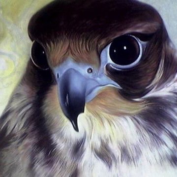 mohager_2007's profile picture. يارب يوم القاك والحال عاري تستر عذاريبي وتغفر ذنوبي