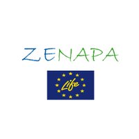 ZENAPA(@ZENAPAlife) 's Twitter Profile Photo