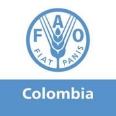 Resultado de imagen para fao colombia