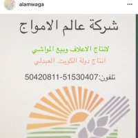 شركة عالم الامواج (@alamalamwaga) Twitter profile photo