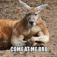 F3CaptKängaroo🦘 (@f3captkangaroo) 's Twitter Profile