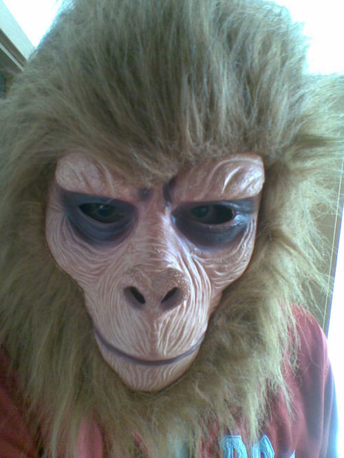 Backenbart's profile picture. In einer Stadt voller Affen bin ich der King weil ich mit schiefer Grimasse für die Massen sing Die Weibchen kreischen, alle Affen springen!