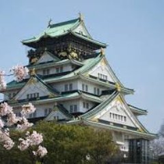 京都。城めぐり（百名城スタンプラリー挑戦中）、旅行、遺跡、歴史、寺社仏閣野球スポーツ競馬など多趣味。始めたばかりなので趣味合いそうな人無言フォロー失礼します。
🏯⚾✈️🐎
