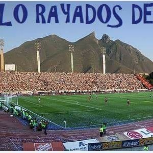 Aficionado a Rayados de Monterrey.