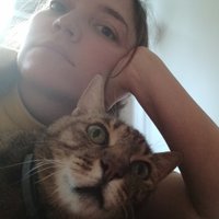 Anastasia Shuster (@asiashuster) 's Twitter Profile