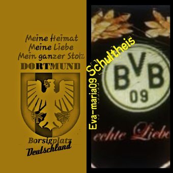 Für immer BVB. No Nazis.