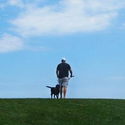 thewegstradamus's profile picture. Charming and irresistible