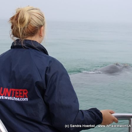 Master of Marine Management. Working on protecting whales from entanglements 🐋, supporting women in STEM. views are my own. #NARW #SRKW