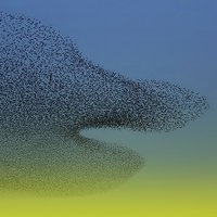 Metaliberal (@metaliberal) Twitter profile photo