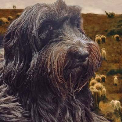 Adjudicator, writer, photographer, animal & nature lover.