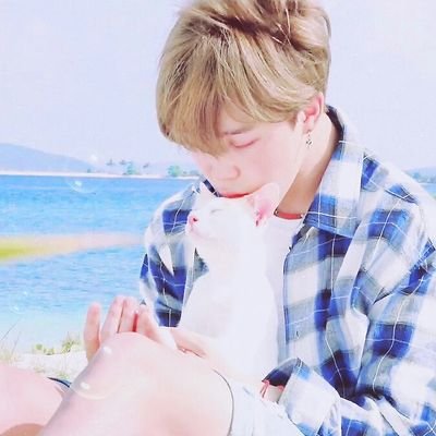 One_Dori1's profile picture. ARMY
