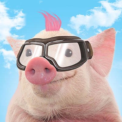 Howard Crabtree’s When Pigs Fly is a raucous, joyful, and unapologetically outrageous romp.