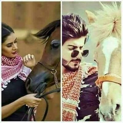 الأخبار الأخبار الأخبار الأخبار الأخبار الأخبار الأخبار