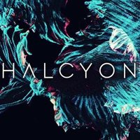 Halcyon SF(@Halcyon_SF) 's Twitter Profileg