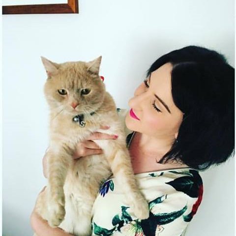 lizziegeraghty's profile picture. Irish dance teacher, completing her masters in early childhood education. I love dance, drama, art, music, animals, hiking and cooking.