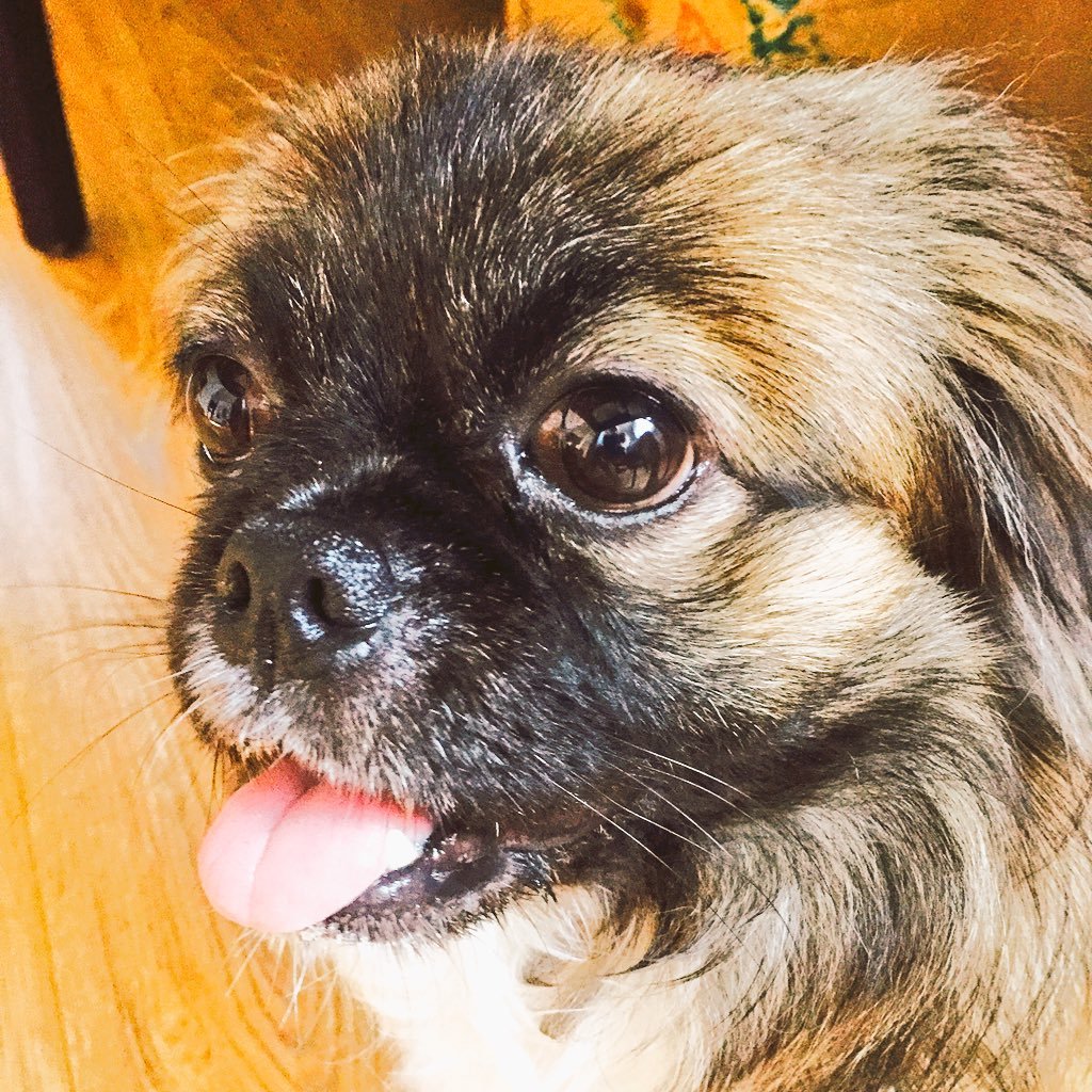 daniel31045's profile picture. 