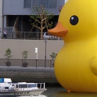 天輝(テンテル)@5/9下北沢BREATH (@hirotanutan) 's Twitter Profile Photo 天輝(テンテル)@5/9下北沢BREATH (@hirotanutan) 's Twitter Profile Photo