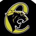 Medgar Evers College Athletics (@MECCougars) Twitter profile photo