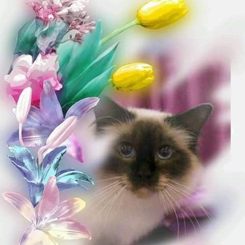 Veronica0151955's profile picture. 