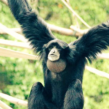 ef66z's profile picture. 