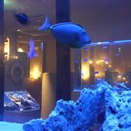 chozen1009's profile picture. まったり楽しくをもっとーに星ドラやっています！星ドラやってる方は是非フォローお願い致します！ 色々教えて下さい！！レゲエも大好きです！