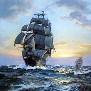 revsol2503's profile picture. La maldad nunca ha sido felicidad