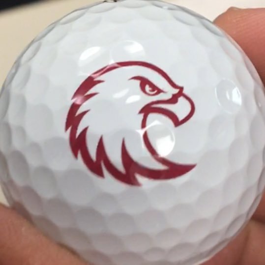 AugsburgGolf's profile picture. 