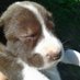 itsbbtweet3 (@itsbbtweet3) Twitter profile photo itsbbtweet3 (@itsbbtweet3) Twitter profile photo