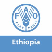 FAO Ethiopia (@faoethiopia) 's Twitter Profile Photo FAO Ethiopia (@faoethiopia) 's Twitter Profile Photo
