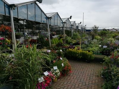 branton garden centre or hagans nursery at branton Doncaster is open 7 days a week,selling everything from a growbag to a lawnmower and everything in between.