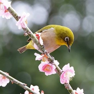 趣味：写真