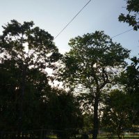 Gener Canto Euán. (@gener) 's Twitter Profile