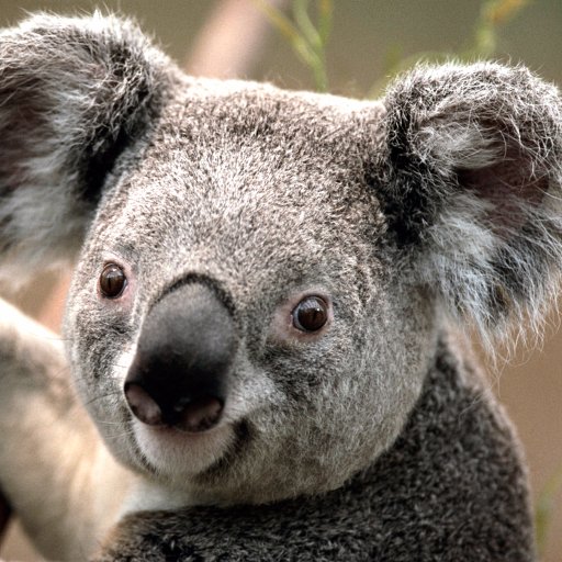 TradingContact's profile picture. 