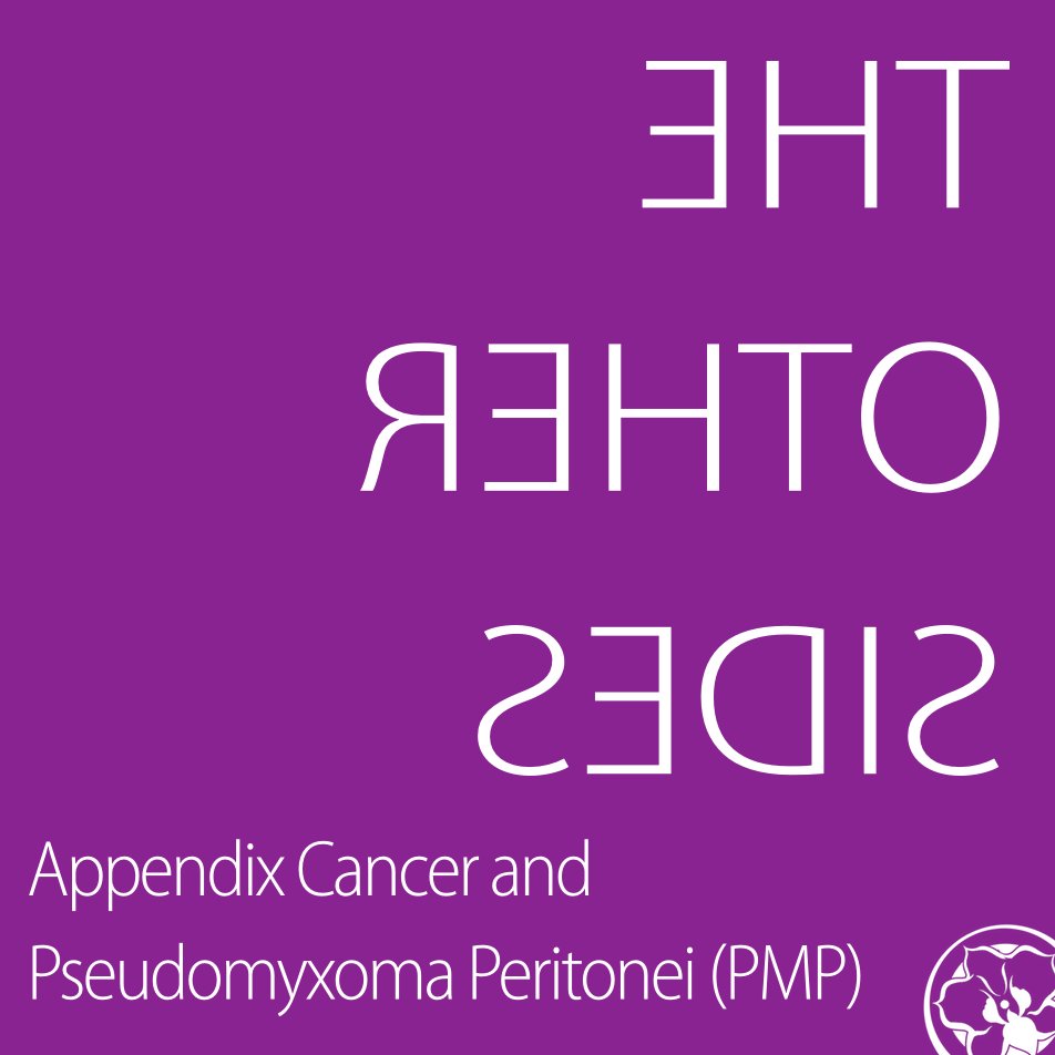 Appendix Cancer/PMP