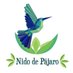 Nido de Pájaro Eco (@NidodePajaroEco) Twitter profile photo